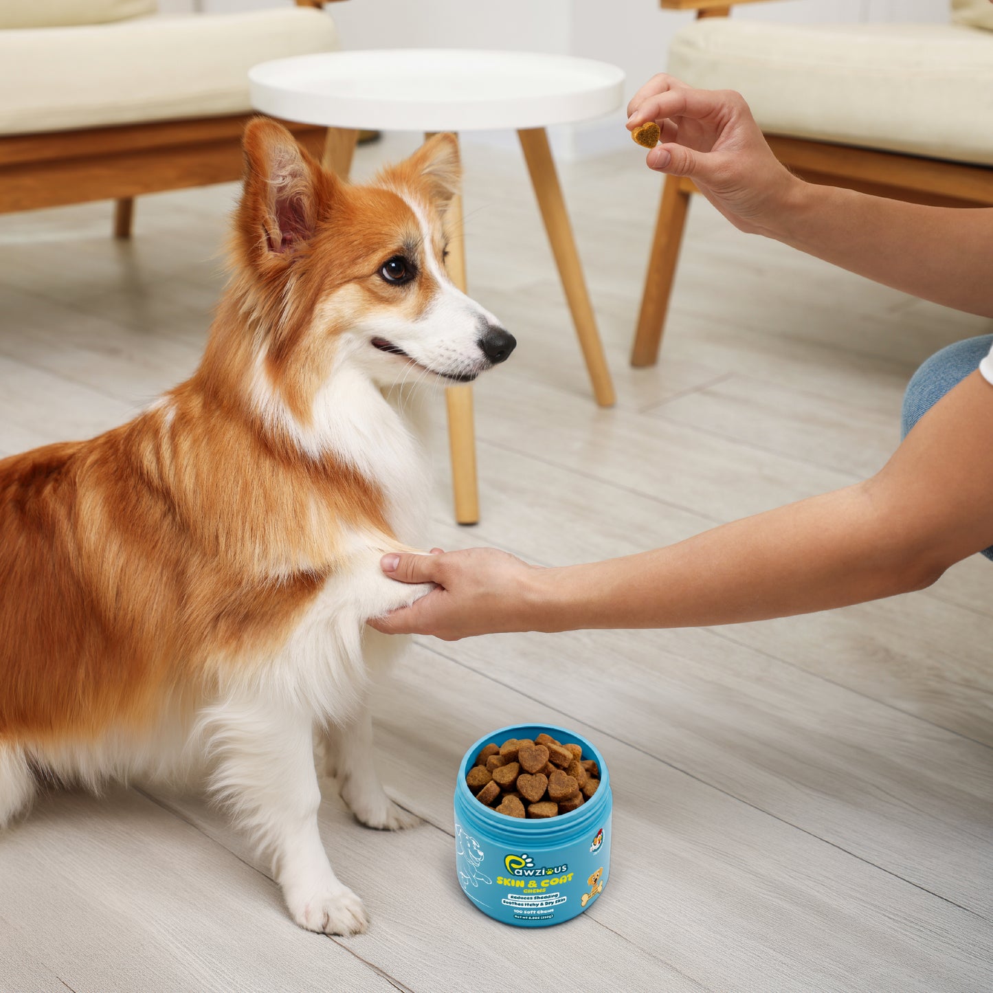 Dog Skin and Coat Supplement Chews