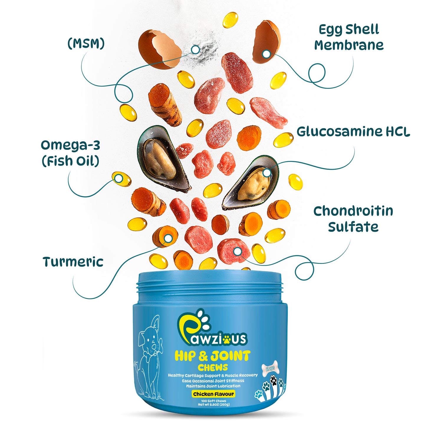 Dog Hip and Joint Supplements