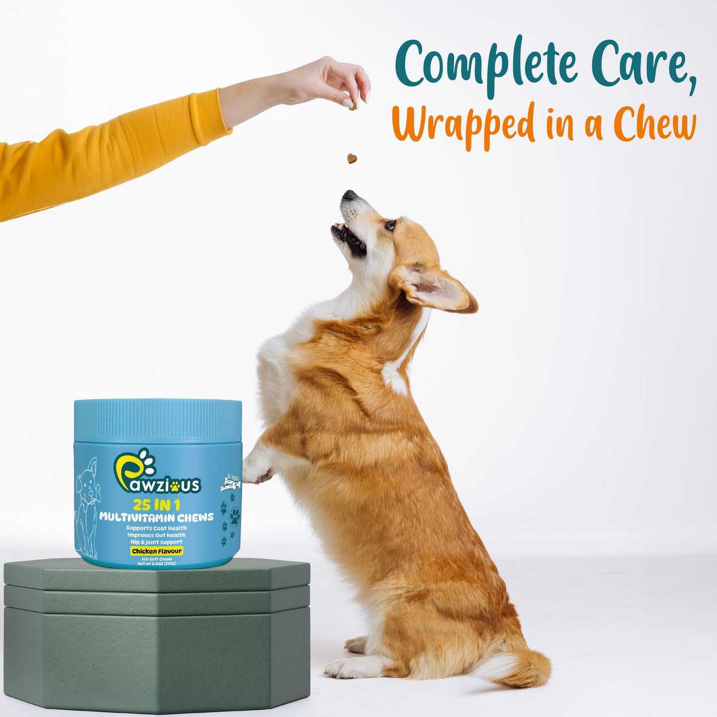 25 in 1 Multivitamins for Dogs