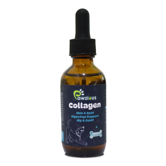 Collagen for Dogs