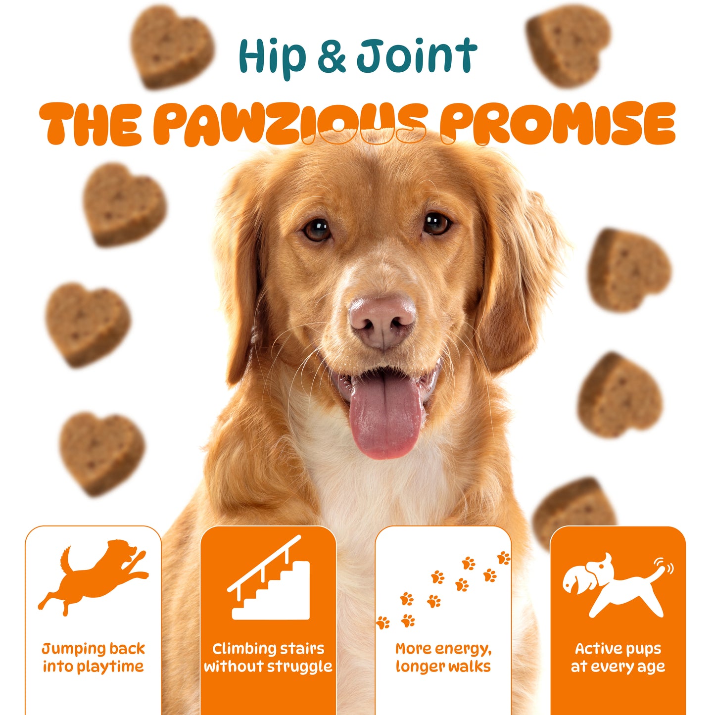Dog Hip and Joint Supplements