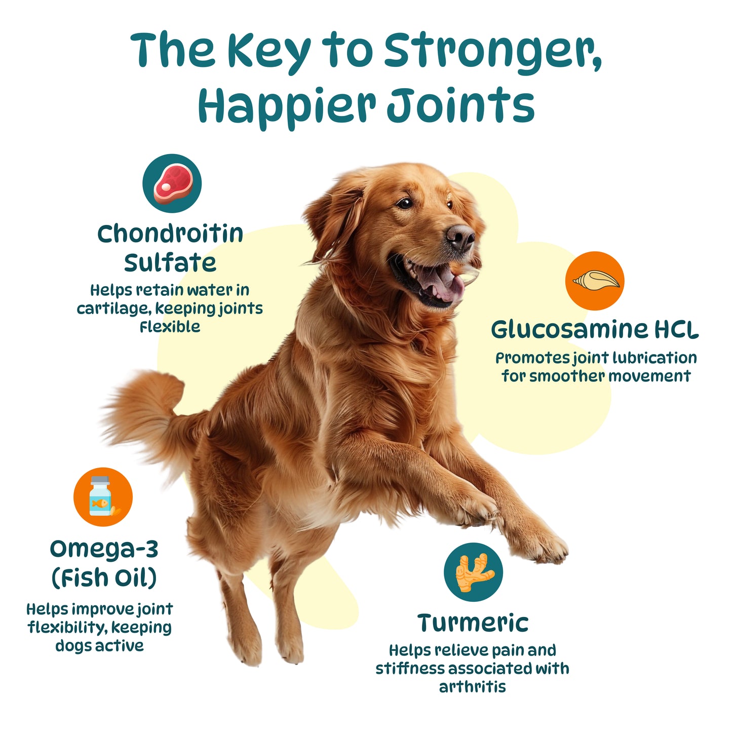 Dog Hip and Joint Supplements