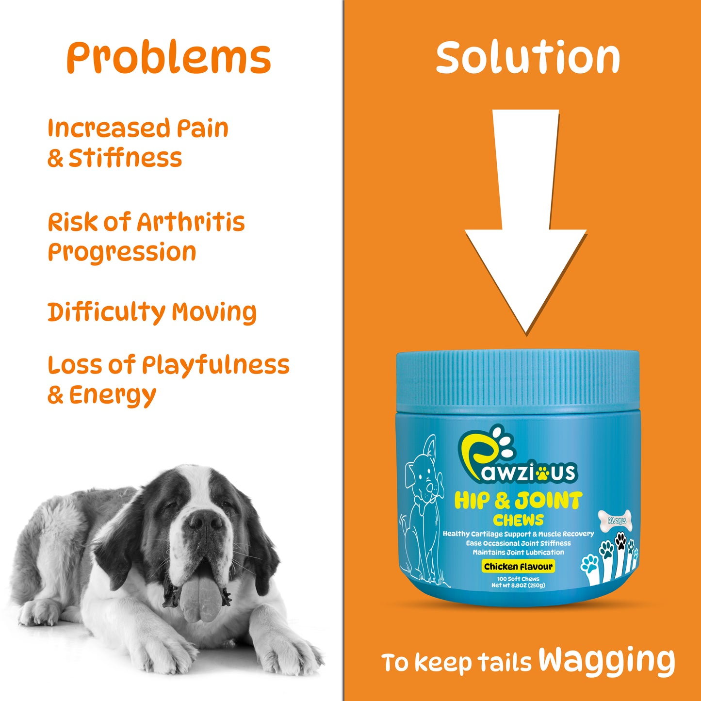 Dog Hip and Joint Supplements