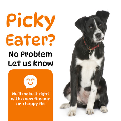 Dog Hip and Joint Supplements