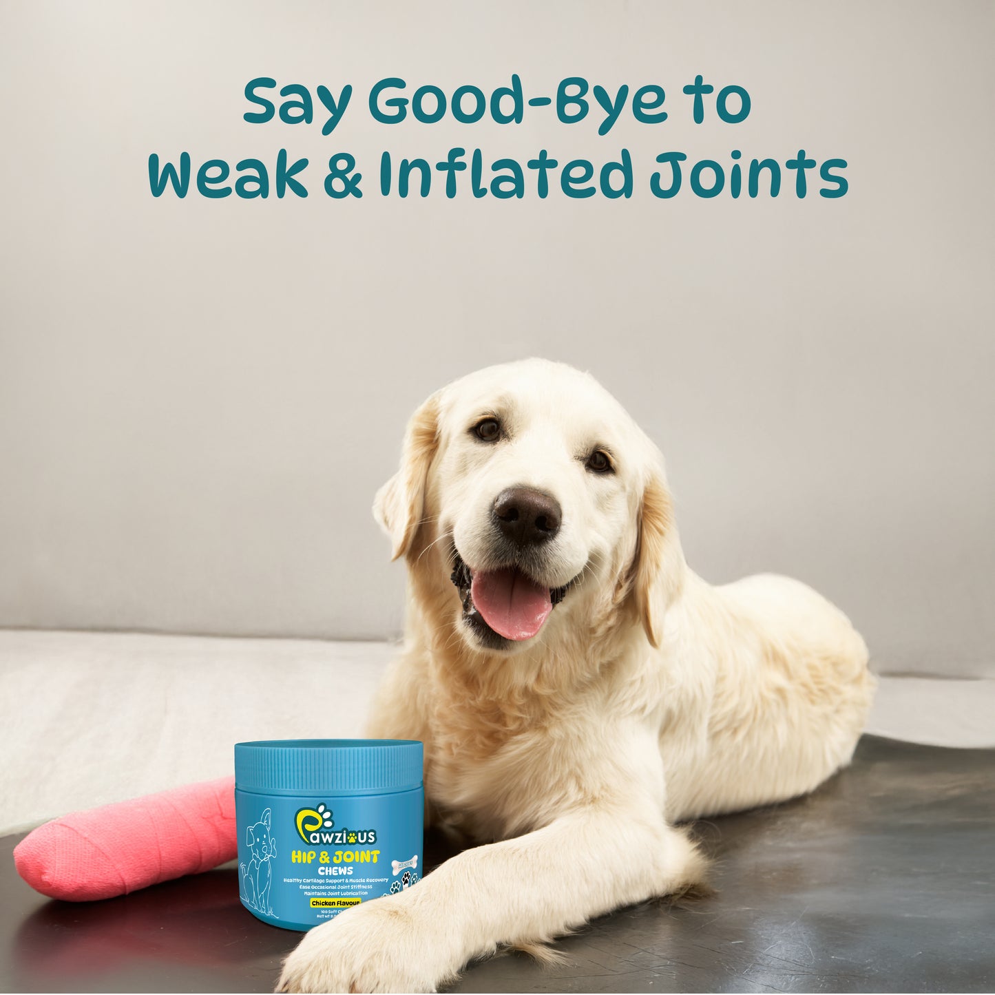 Dog Hip and Joint Supplements