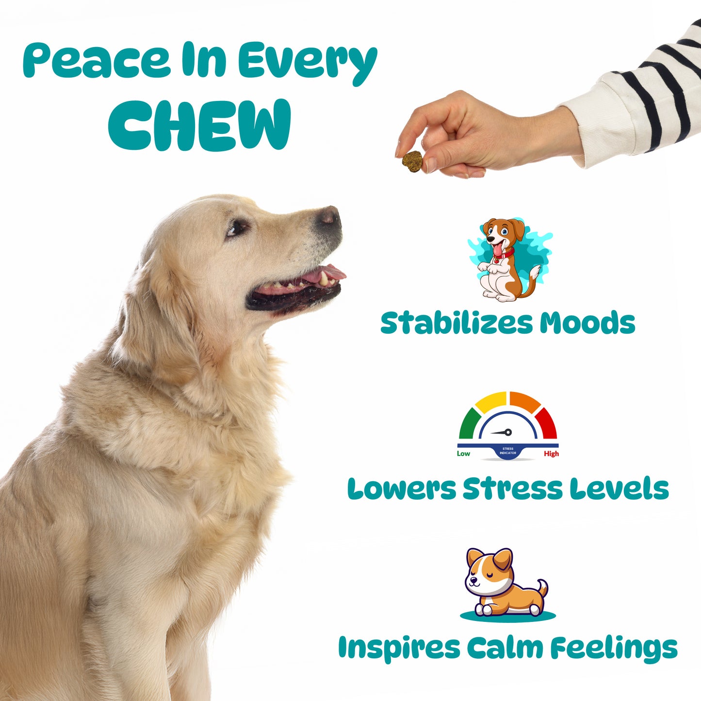 Calming Support Chews for Dogs