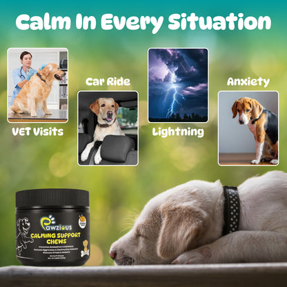 Calming Support Chews for Dogs