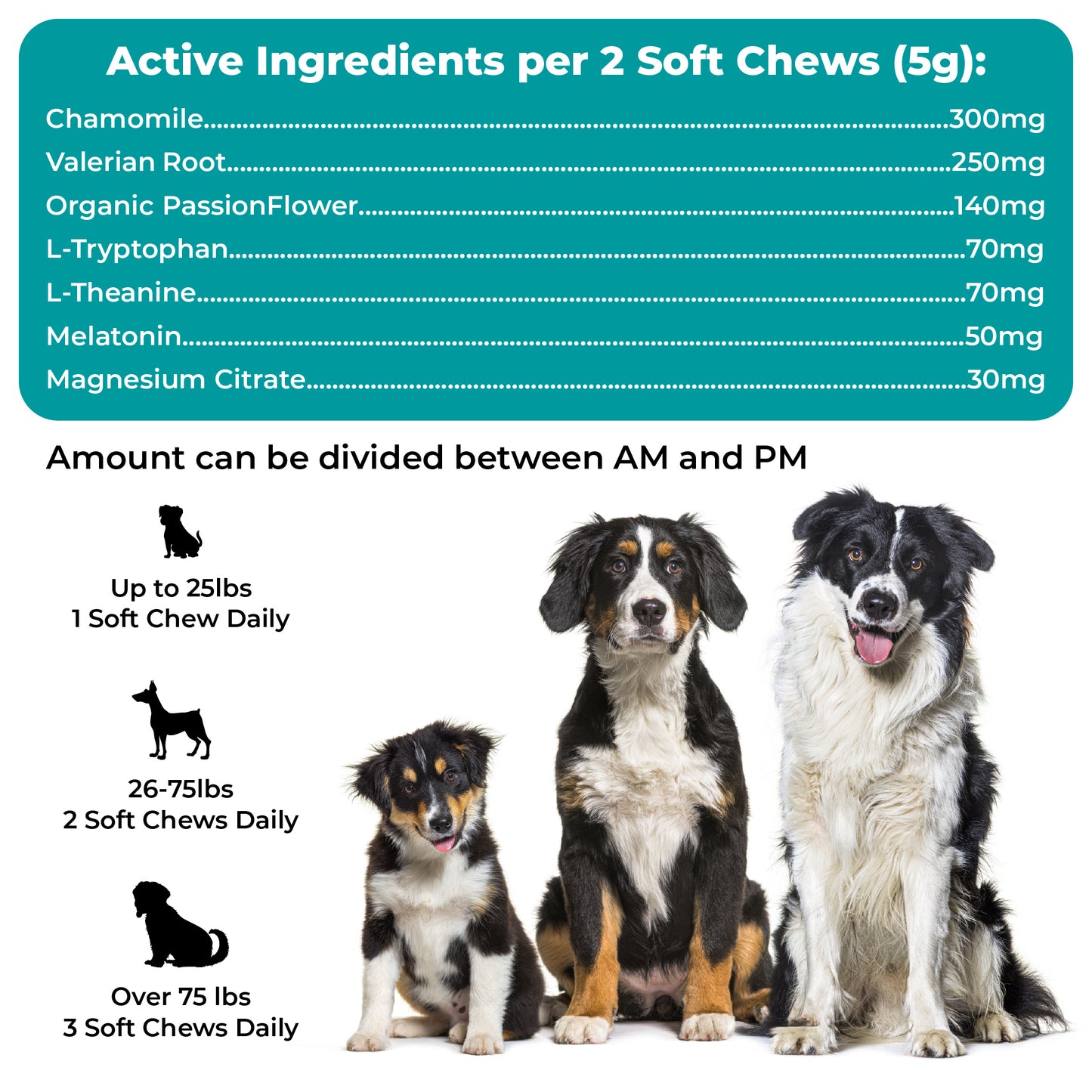 Calming Support Chews for Dogs