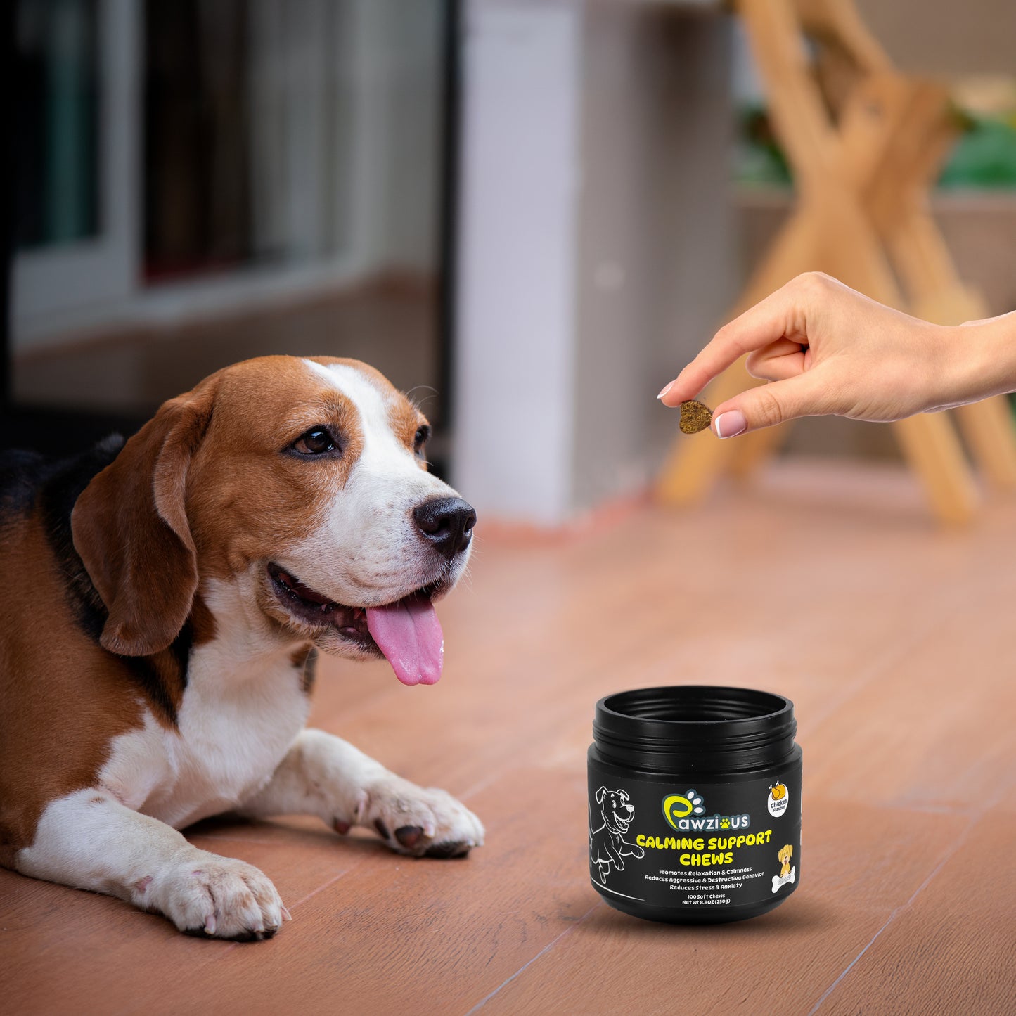 Calming Support Chews for Dogs