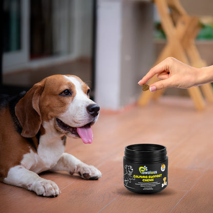 Calming Support Chews for Dogs