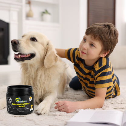Calming Support Chews for Dogs