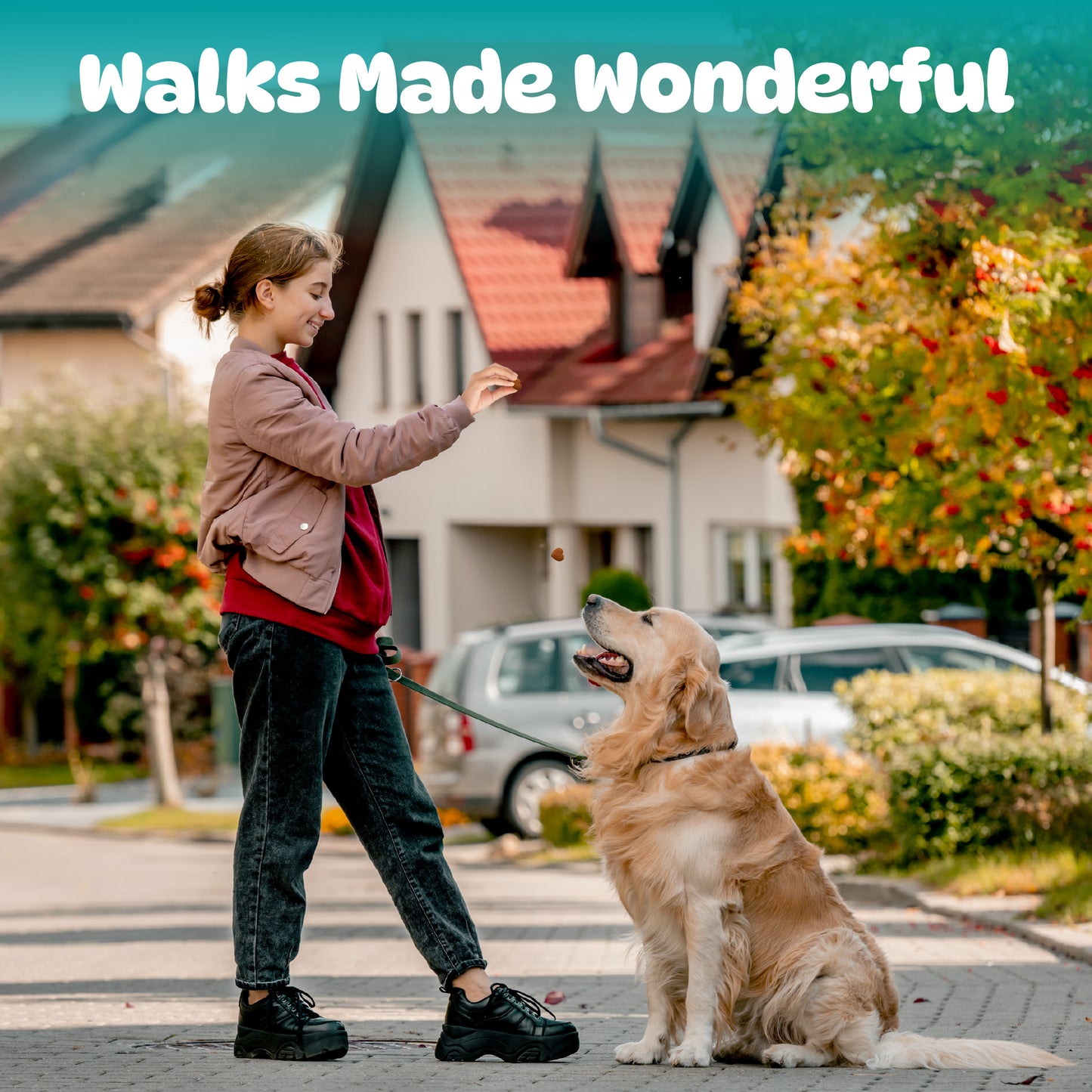 Calming Support Chews for Dogs