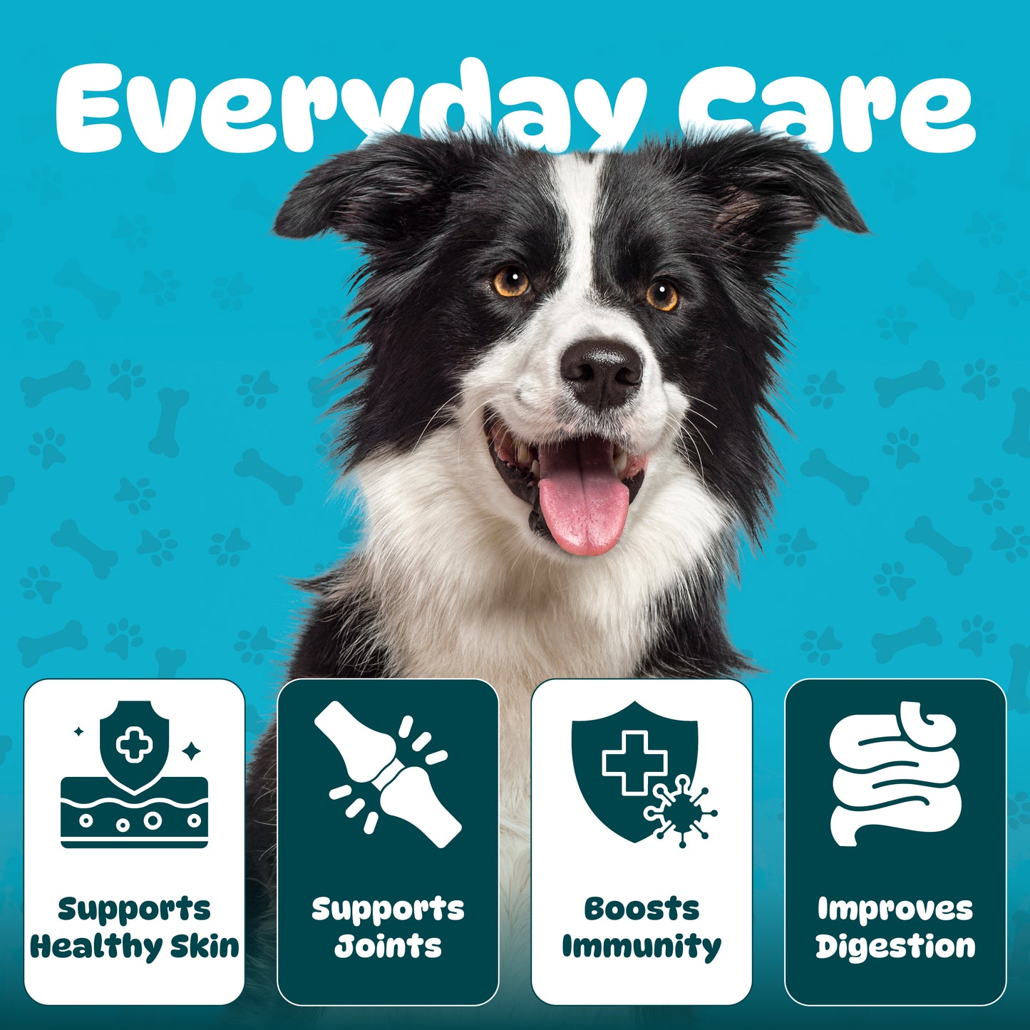 Collagen for Dogs