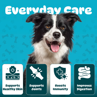 Collagen for Dogs