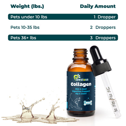 Collagen for Dogs