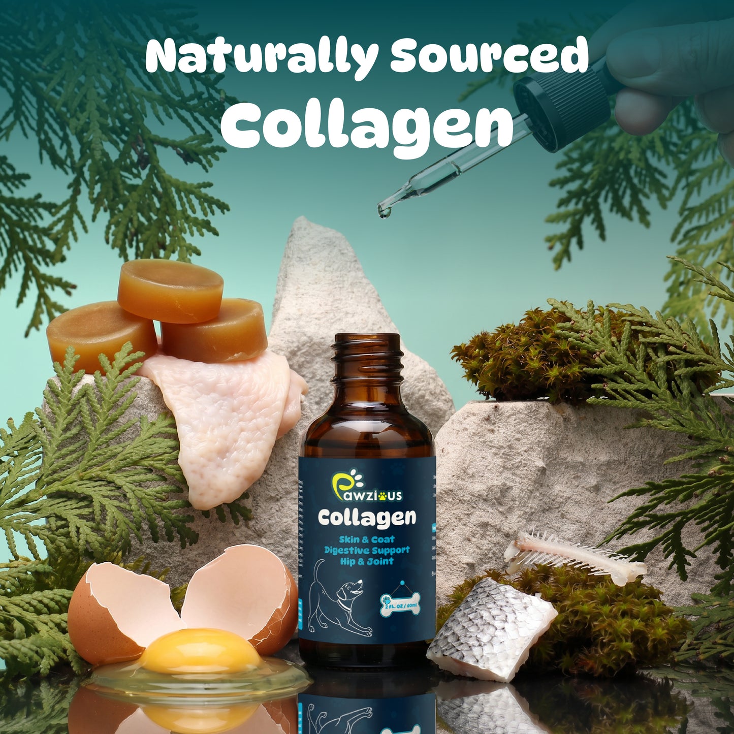 Collagen for Dogs