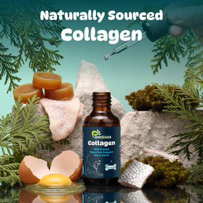 Collagen for Dogs