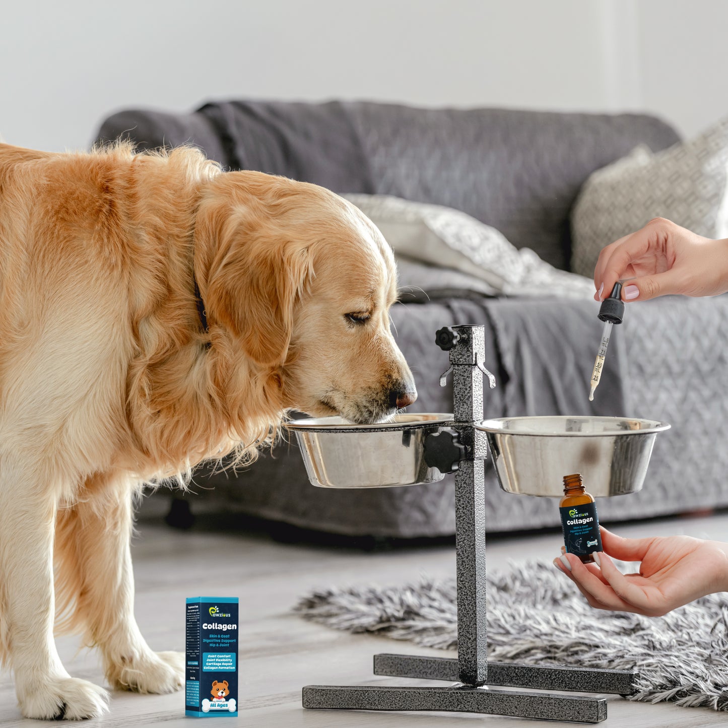 Collagen for Dogs