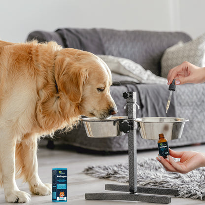 Collagen for Dogs