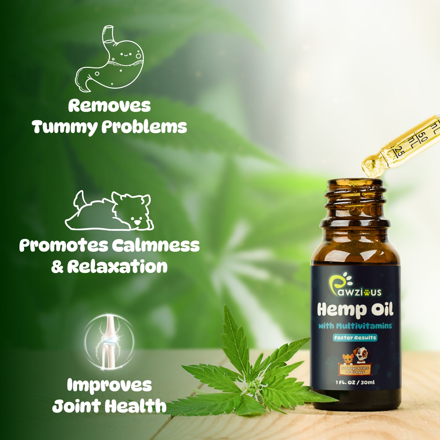 Hemp Oil for Dogs