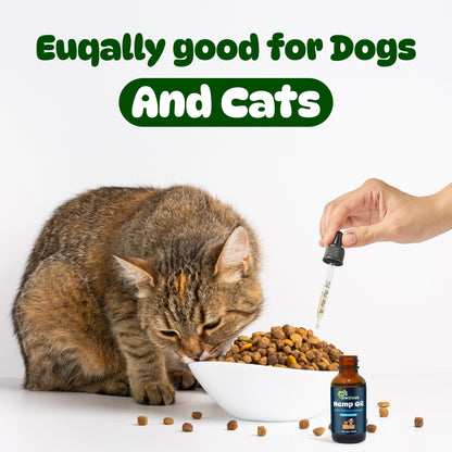 Hemp Oil for Dogs