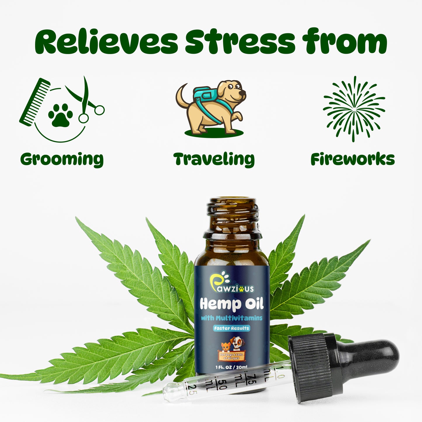 Hemp Oil for Dogs