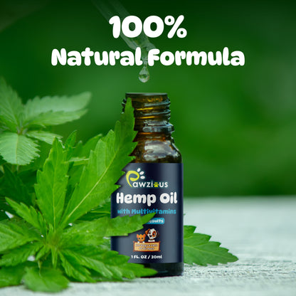 Hemp Oil for Dogs