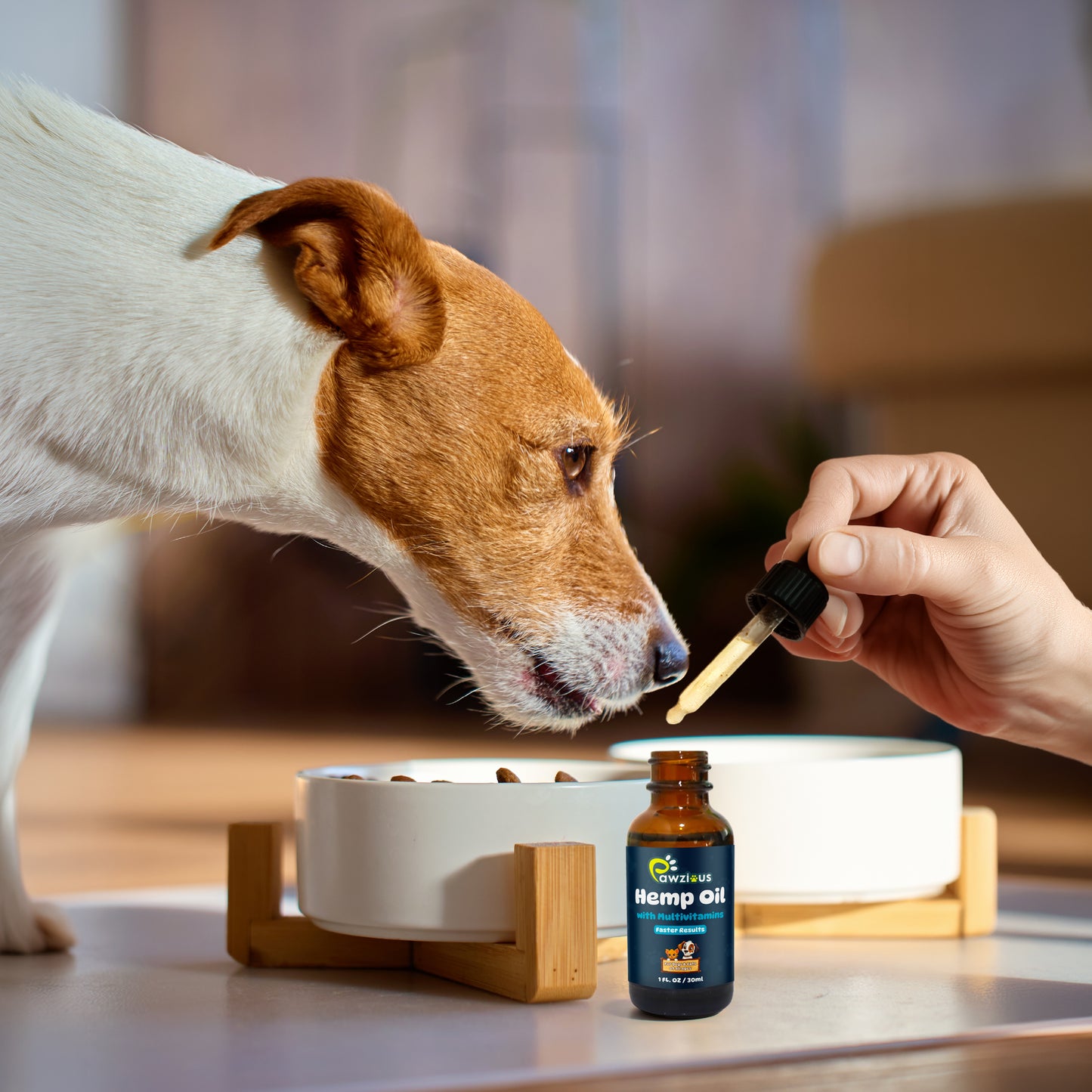 Hemp Oil for Dogs