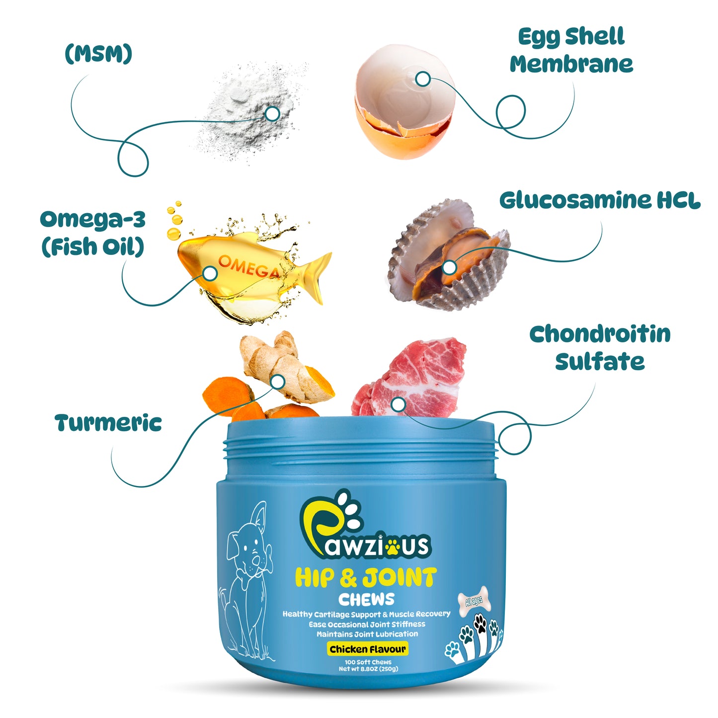 Dog Hip and Joint Supplements