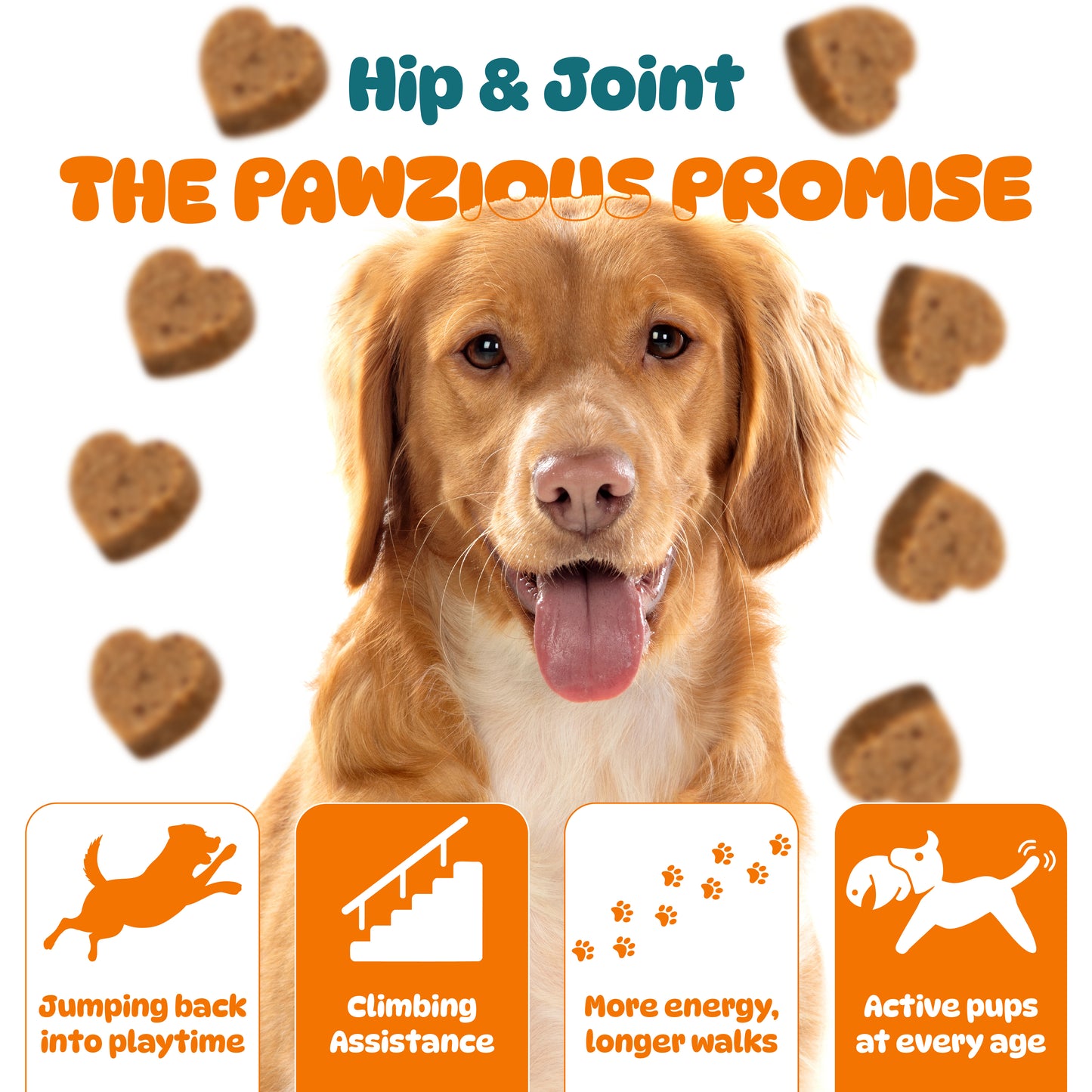 Dog Hip and Joint Supplements