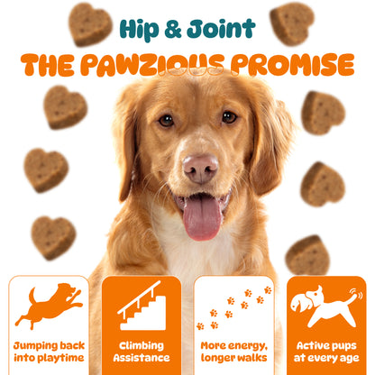 Dog Hip and Joint Supplements