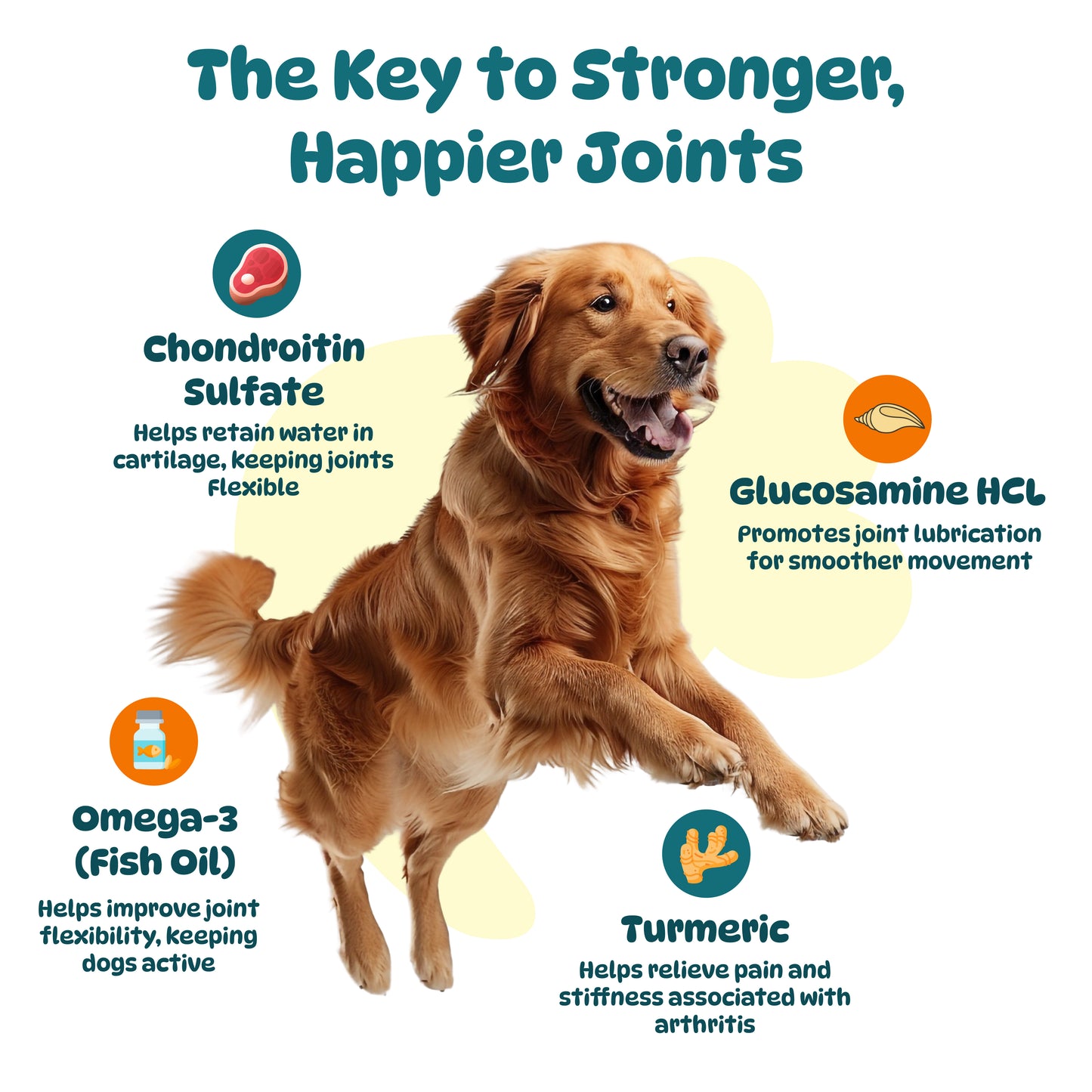 Dog Hip and Joint Supplements
