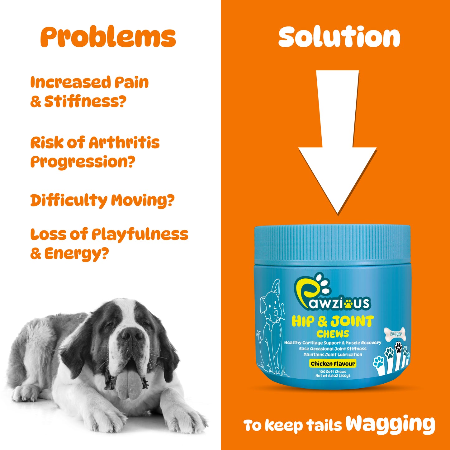 Dog Hip and Joint Supplements