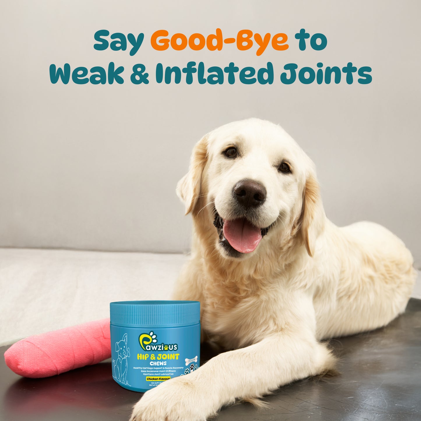 Dog Hip and Joint Supplements