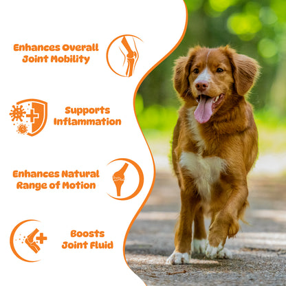 Hip and Joint Powder for Dogs
