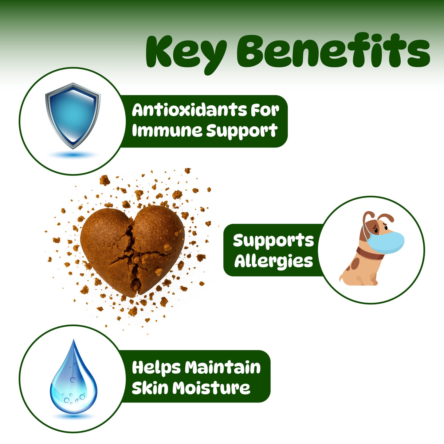 Dog Itch & Allergy Relief Chews