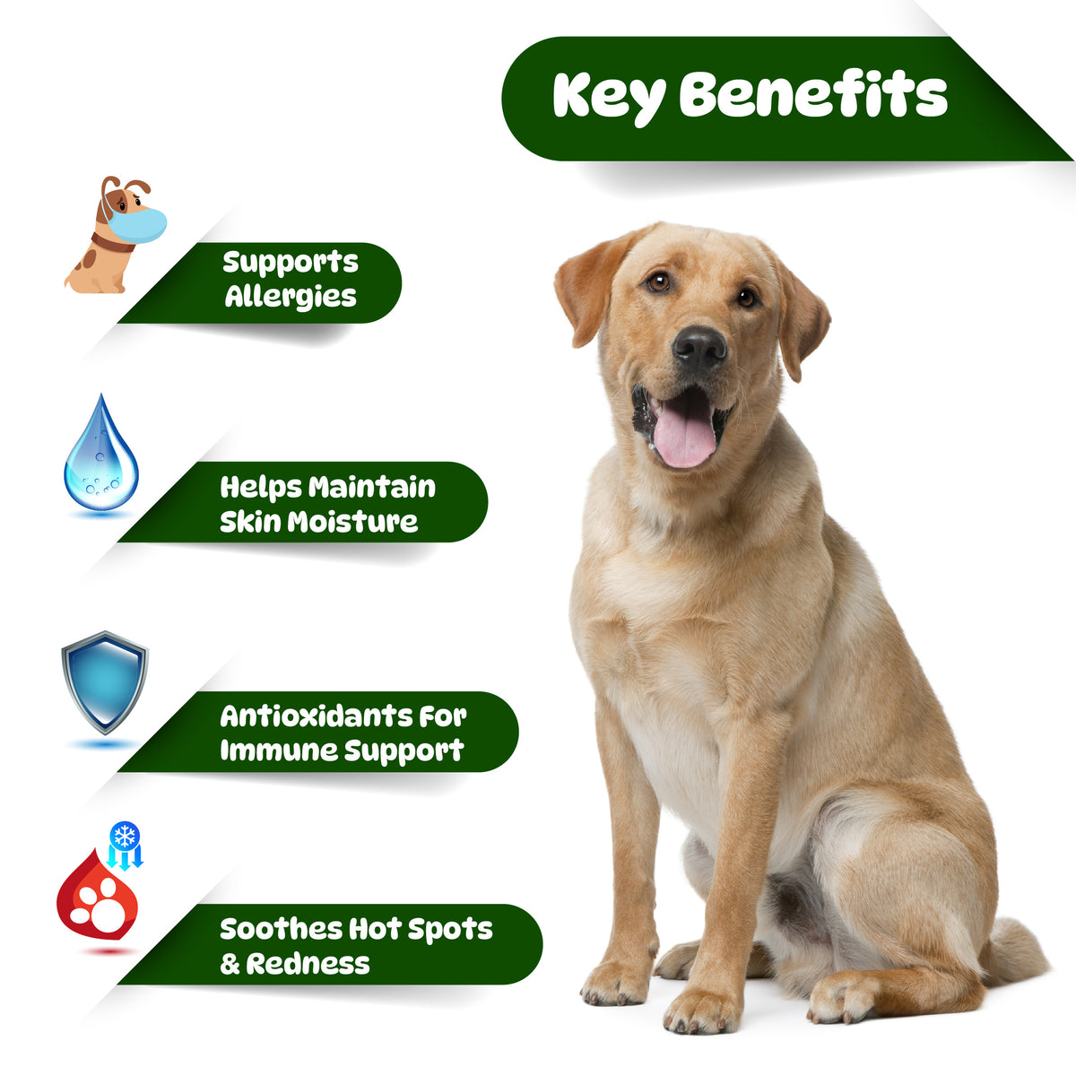 Dog Itch & Allergy Relief Chews