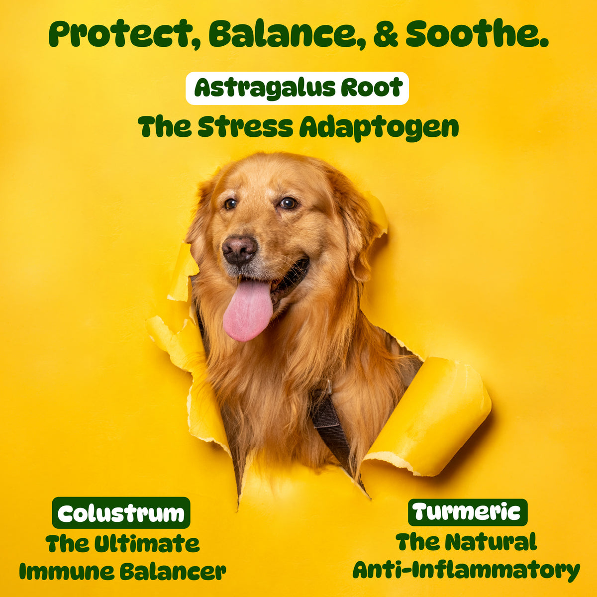 Dog Itch & Allergy Relief Chews