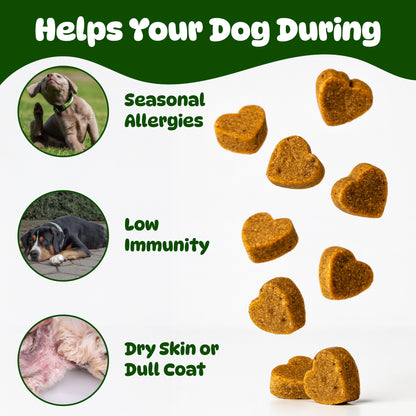 Dog Itch & Allergy Relief Chews