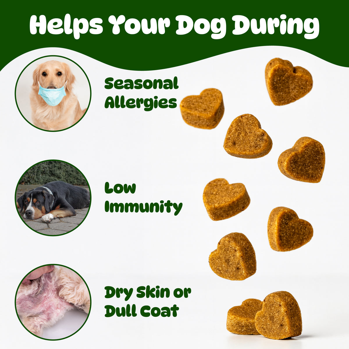 Dog Itch & Allergy Relief Chews