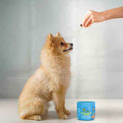 Dog Itch & Allergy Relief Chews