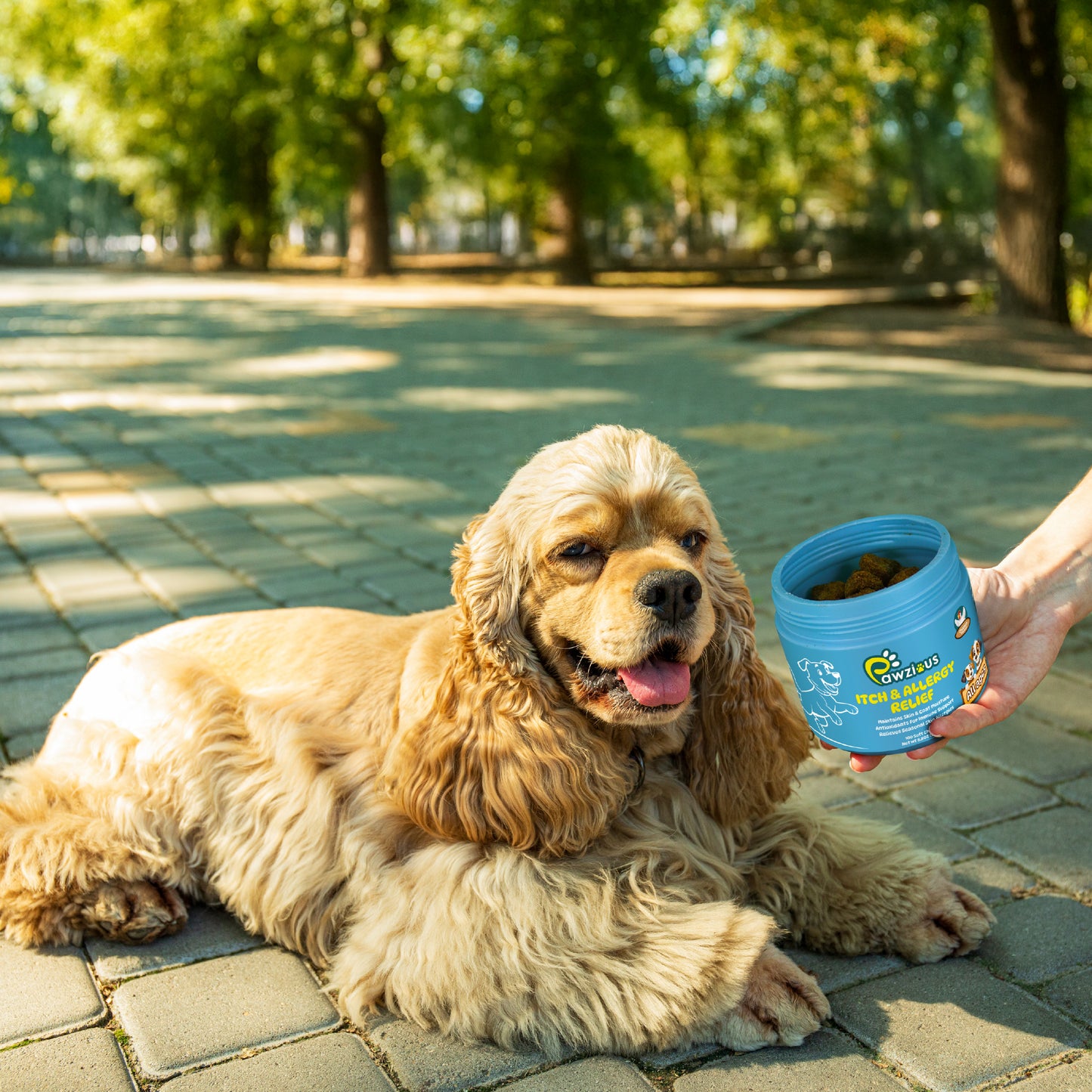 Dog Itch & Allergy Relief Chews