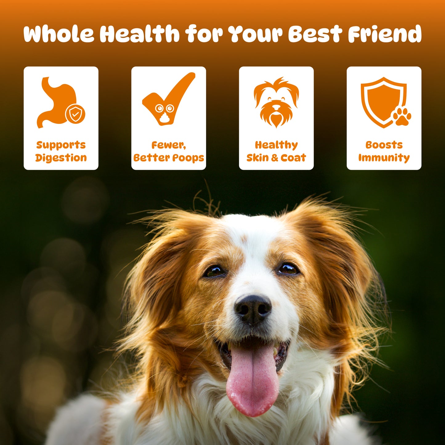 Pre + Probiotics for Dogs