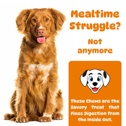 Pre + Probiotics for Dogs