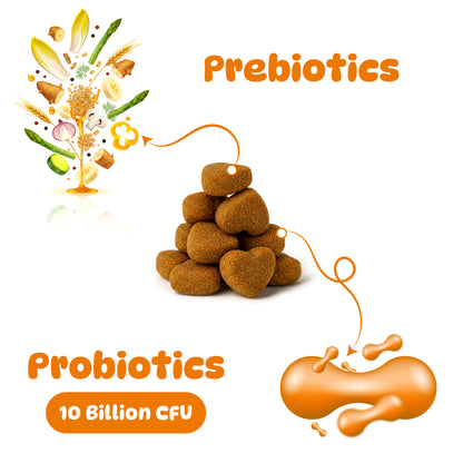 Pre + Probiotics for Dogs
