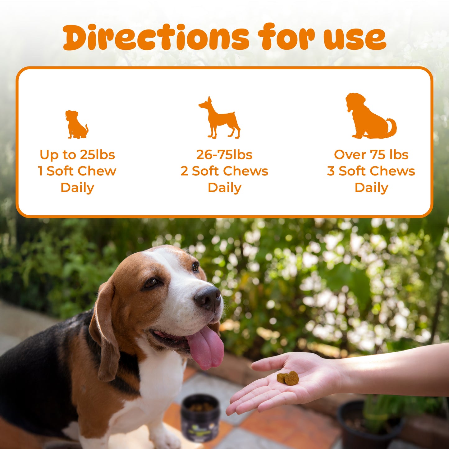 Pre + Probiotics for Dogs