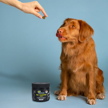 Pre + Probiotics for Dogs