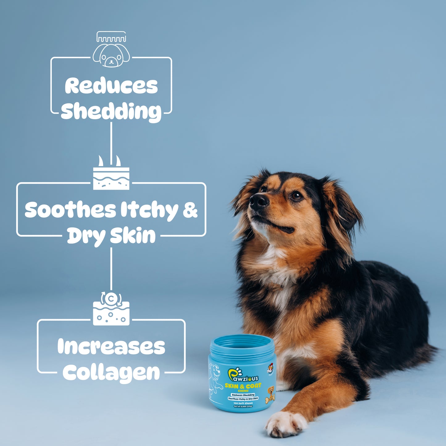 Dog Skin and Coat Supplement Chews