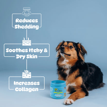 Dog Skin and Coat Supplement Chews
