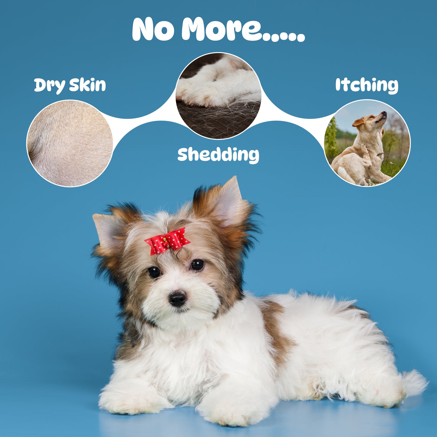 Dog Skin and Coat Supplement Chews